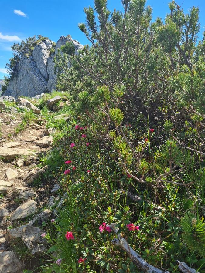 Johannas Alm Garmisch-Partenkirchen Luaran gambar